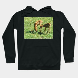 Little Fawns in the Sun Hoodie